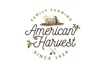 design branding awesome vegetable company logo