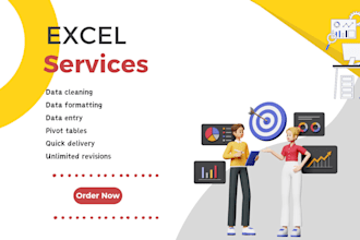 do ms excel data cleaning, data entry, data cleanup , vlookup