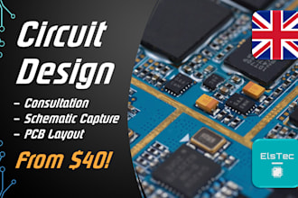 design an electronic circuit for your project