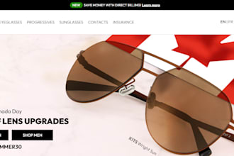 design profitable eyeglasses store sunglasses shopify store dropshiping website