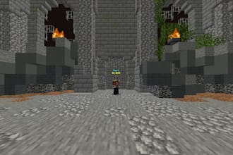 play dungeons with you in hypixel skyblock