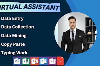 do data entry, excel and word data entry, web research