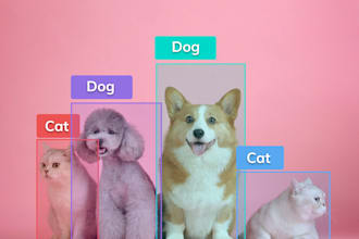 develop ai models for object detection, segmentation