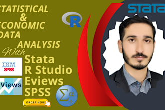 help you in report writing, statistical data analysis by spss, stata and rstudio