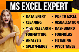 do excel data cleaning, merge, organize, analysis and format