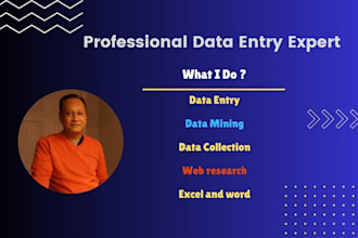 do data entry, excel, copy paste