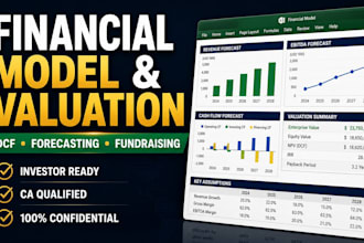 build excel financial models, pro forma financials and valuation for startups