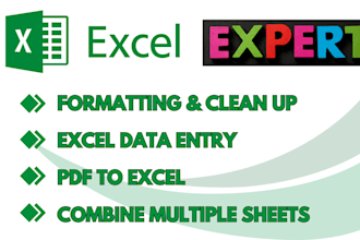 do excel data entry, data cleaning, and formatting service