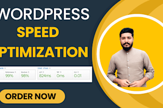 wordpress speed optimization google pagespeed insights