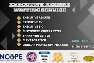 do executive resume writing for executives, ceos, vps, cfos and senior directors