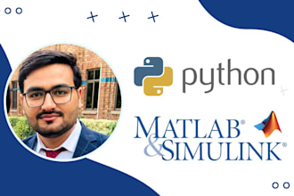 do matlab and python coding of your project