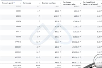 do facebook ads campaign,meta ads for sales and leads,shopify ads