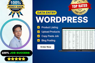 do accurate wordpress data entry