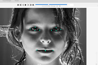 do point annotation with detailed and accurate property