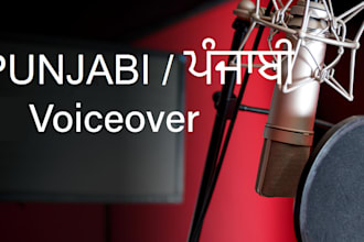high quality punjabi advertising voiceover
