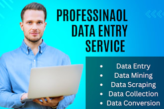 do fast data entry , excel data entry and product listing