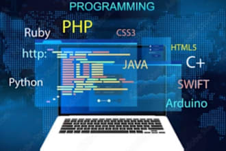 do python java html  and website development projects