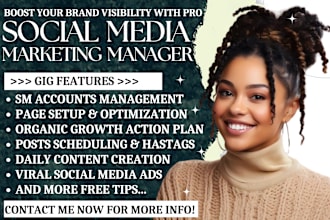 be your social media marketing manager tik tok ads instagram ads content creator