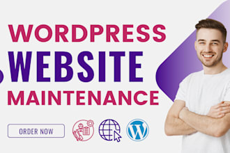 do wordpress website maintenance, customization, bug fix, update and support