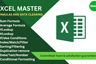 do microsoft excel formulas and data cleaning services