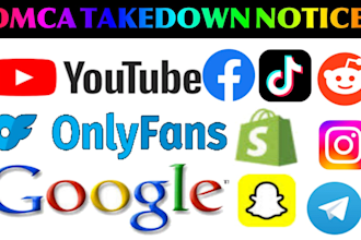 takedown defaming false negative content tiktok,yt,ig,fb,google,reddit,x by dmca