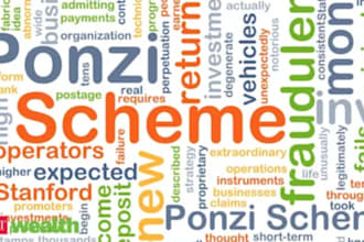develop a bitcoin website for ponzi scheme, affiliate marketing
