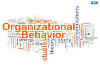 do organizational behavior, corporate governance and business management tasks