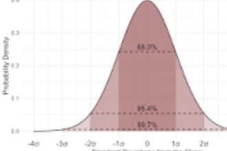 help you excel in statistics, quantitative reasoning tutor