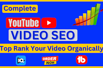 do youtube video rankings with expert SEO and optimization