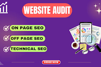 do advance website audit report