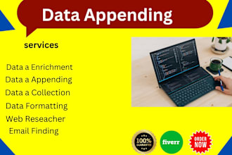 do data entry and data enrichment
