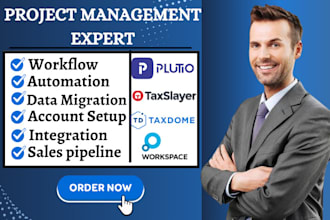 setup flowlu client portal plutio workspace taxdome taxlayer project management