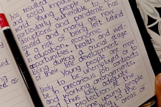 write professional hand written notes and flowcharts