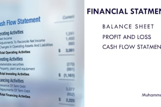 prepare financial statements, profit and loss variable