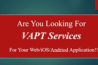 provide professional vapt services with fast delivery in 3 days