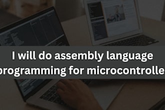 do assembly language programming for microcontroller