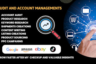 audit and manage your amazon ebay tiktok google accounts