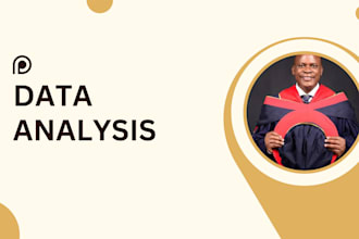 do data analysis using excel, spss, r studio, python, minitab, data entry tasks