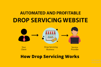 design a professional drop service wordpress website