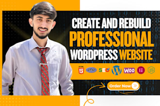 create or rebuild a professional wordpress website