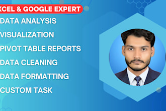 do data analysis excel data cleaning and data visualization