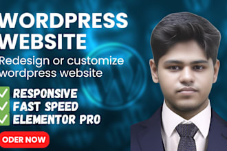 expert wordpress redesign with elementor pro  SEO optimization