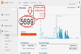 drive 5000 real traffic to your website
