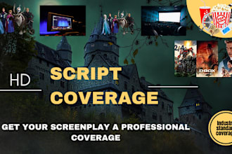 provide pro script coverage, feedback and notes on your screenplay