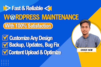 be wordpress virtual assistant for website maintenance and support