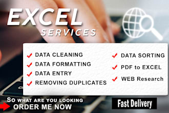excel data cleaning, data formatting , data merging