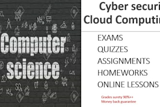 do cyber, information security, information technology tasks