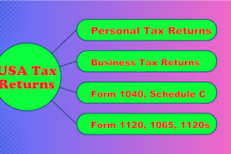 prepare efile usa tax return for corporation, llc and form 1120 5472