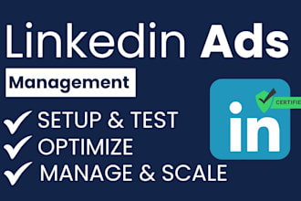 do marketing and create and manage linkedin ads campaign