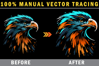 do vector tracing, logo vectorize, sketch to vector, etc